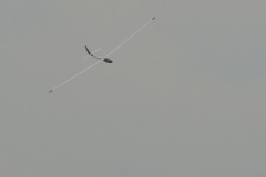 DSCN3078