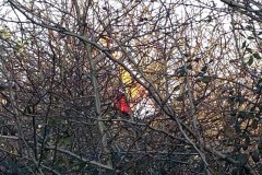 Dec2016_01