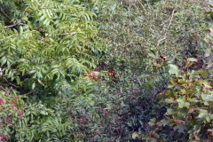 Sep2016_06