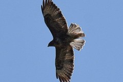 Sep2018_03