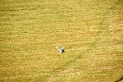 Jun2019_11