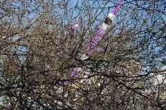Apr2021_04